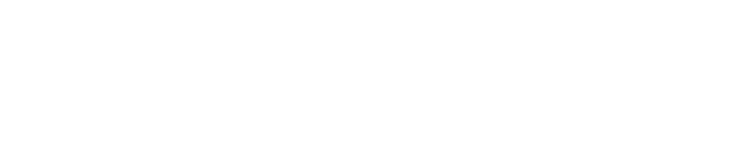 telesight-logo-white